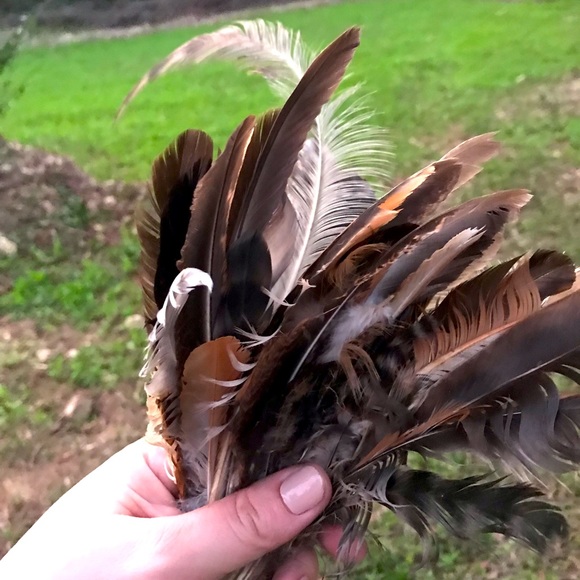 Feathers for crafts • chicken feathers - Picture 1 of 13